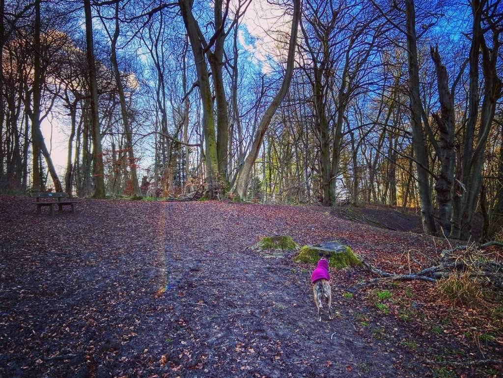 Pass the bench (on the left) and the dip (on the right)