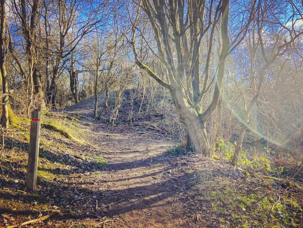 Red-topped post, hump ahead, path bends to the right and downslope to another red-topped post