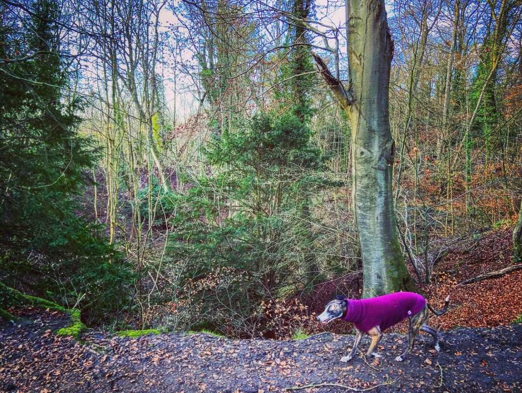 A second big dip on the right