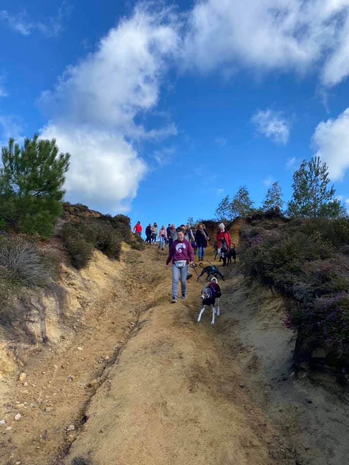 Group members and dogs walking down the steep sandy slope from the top of the hill