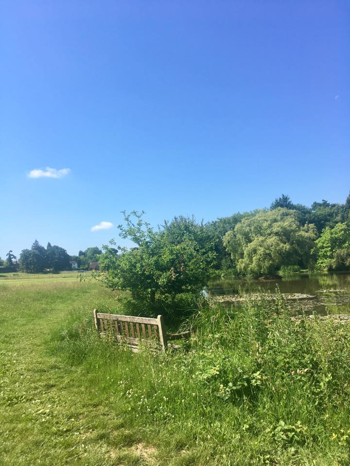 Ockley village green and pond