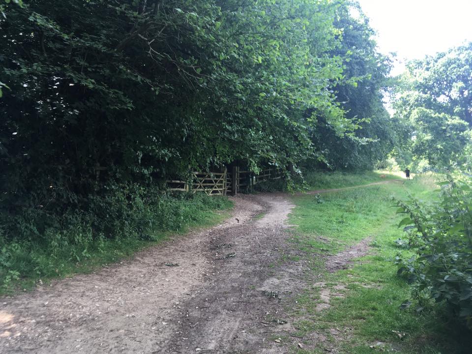 Gate leading into woodland on the right