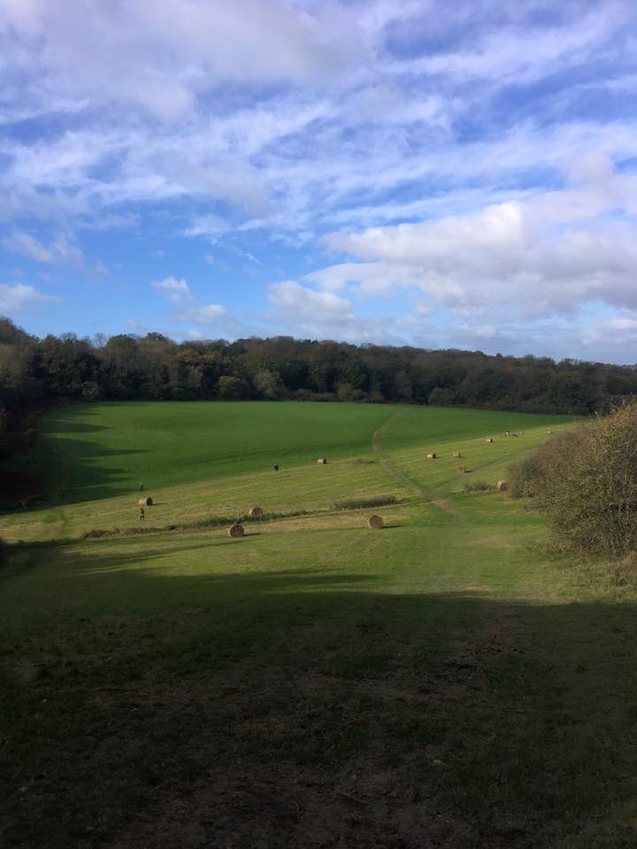 Rolled hay bales dotted over a deep green valley and hillside