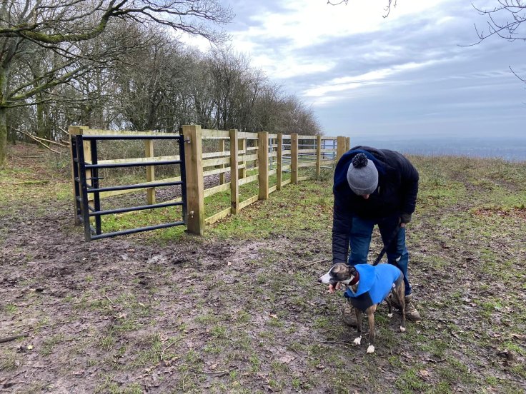 Jim and Jett whippet next to a cattle pen