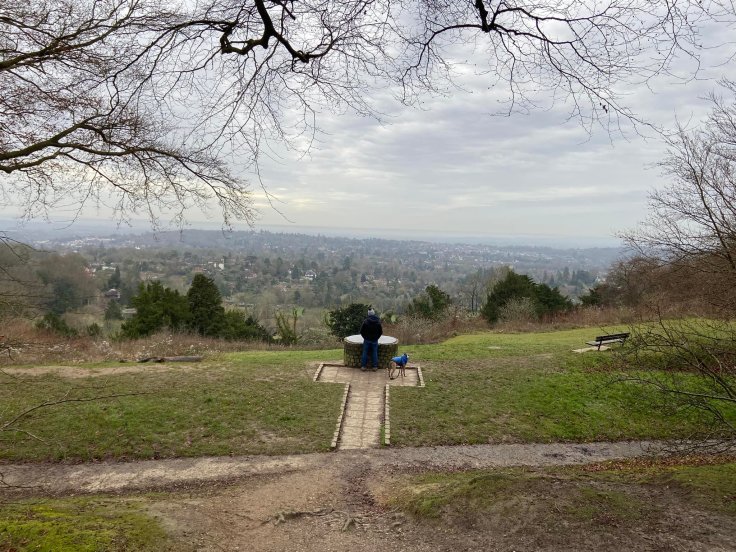 Reigate Hill viewpoint
