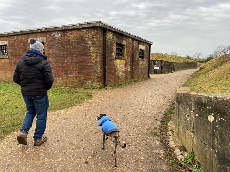Jim and Jett whippet in the grounds of Reigate Fort