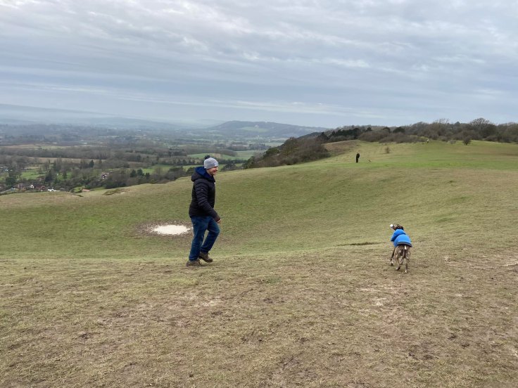 Jim and Jett whippet standing at the top of a dip in the hillside