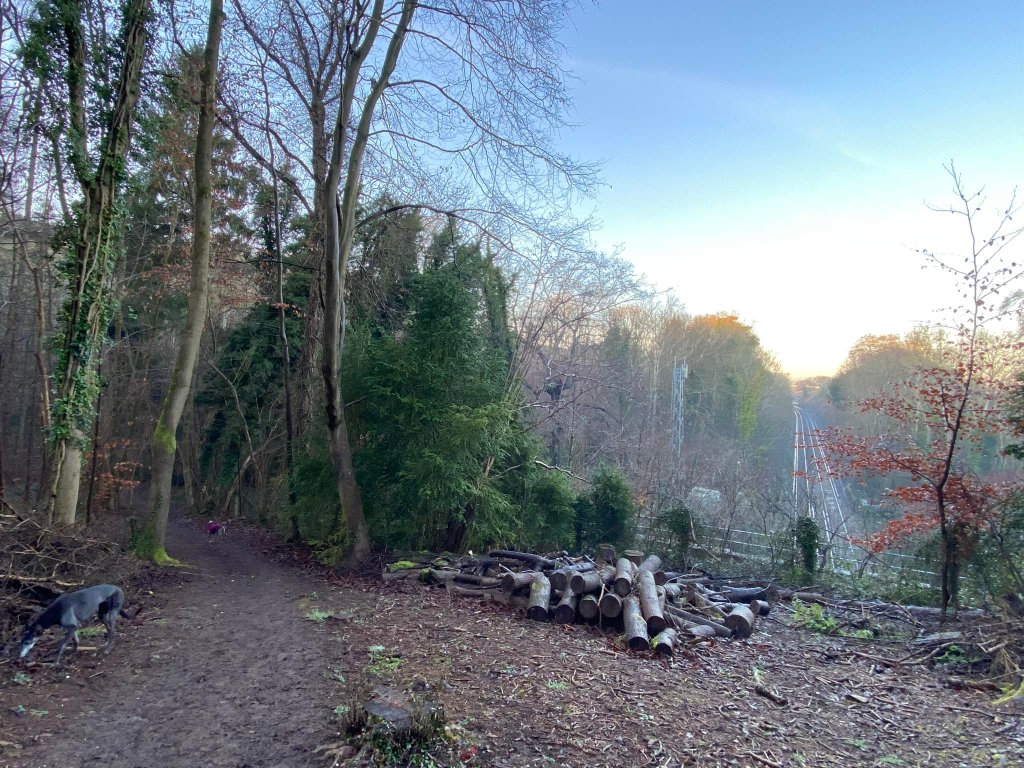 The railway line emerges from the hillside
