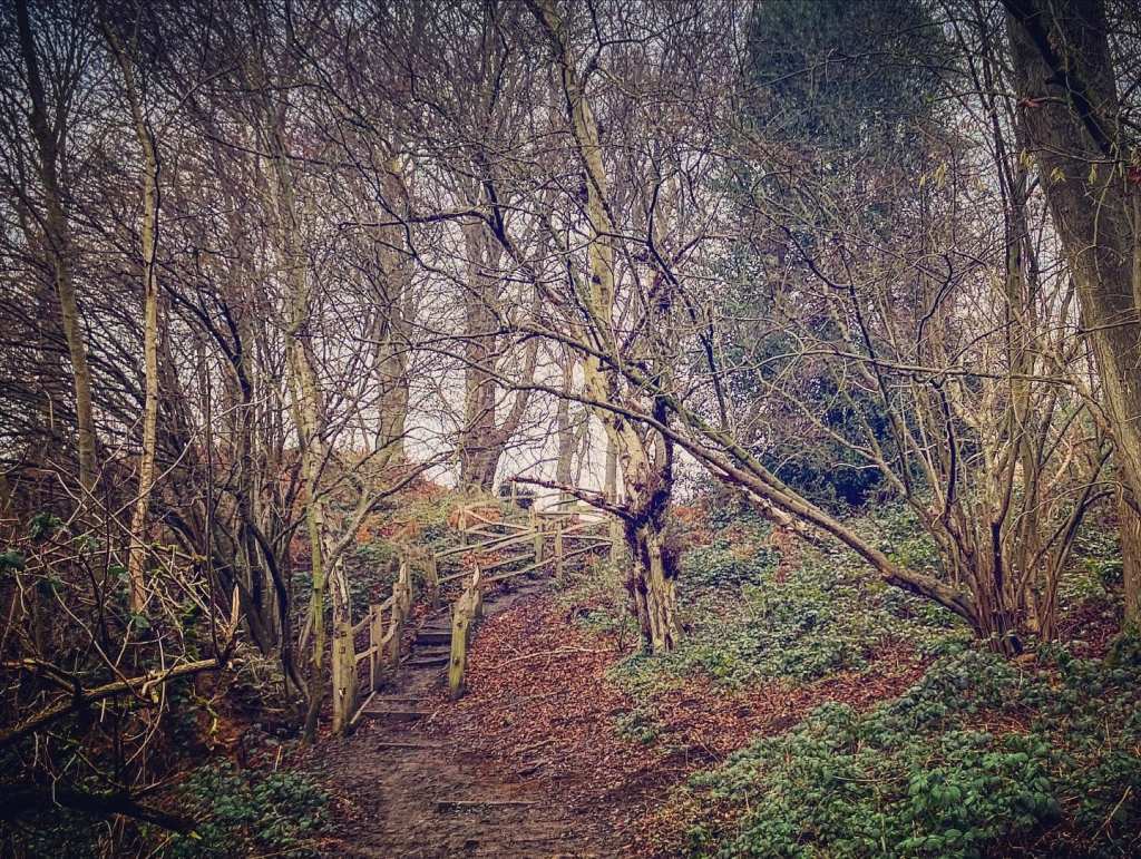 Wooden steps zig zagging up the hillside
