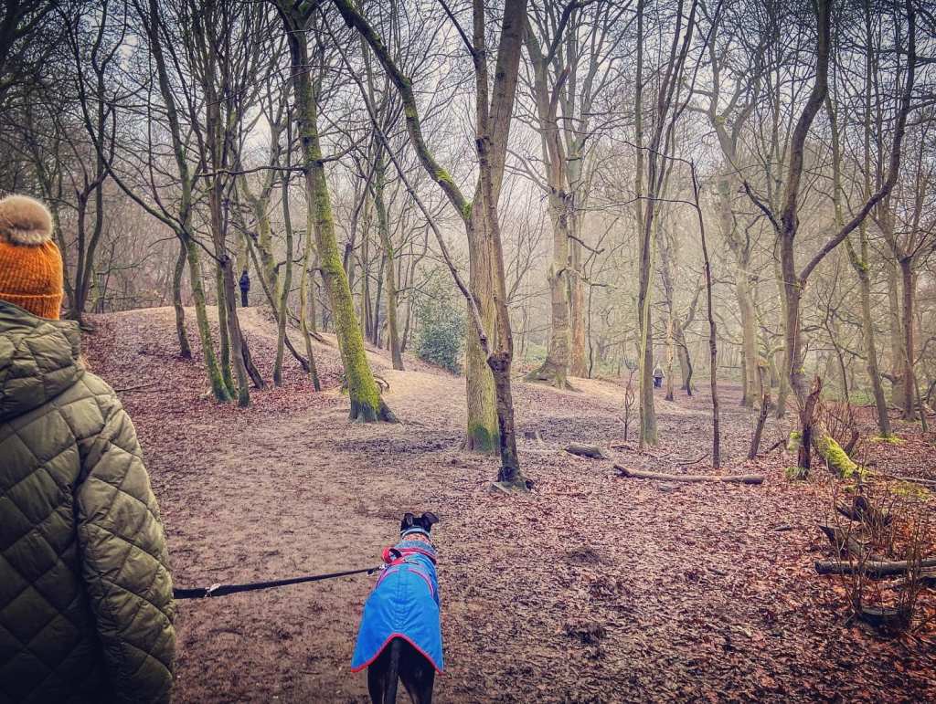 Walker Laura with Windsor greyhound passing mounds that used to be the rifle range target/butt