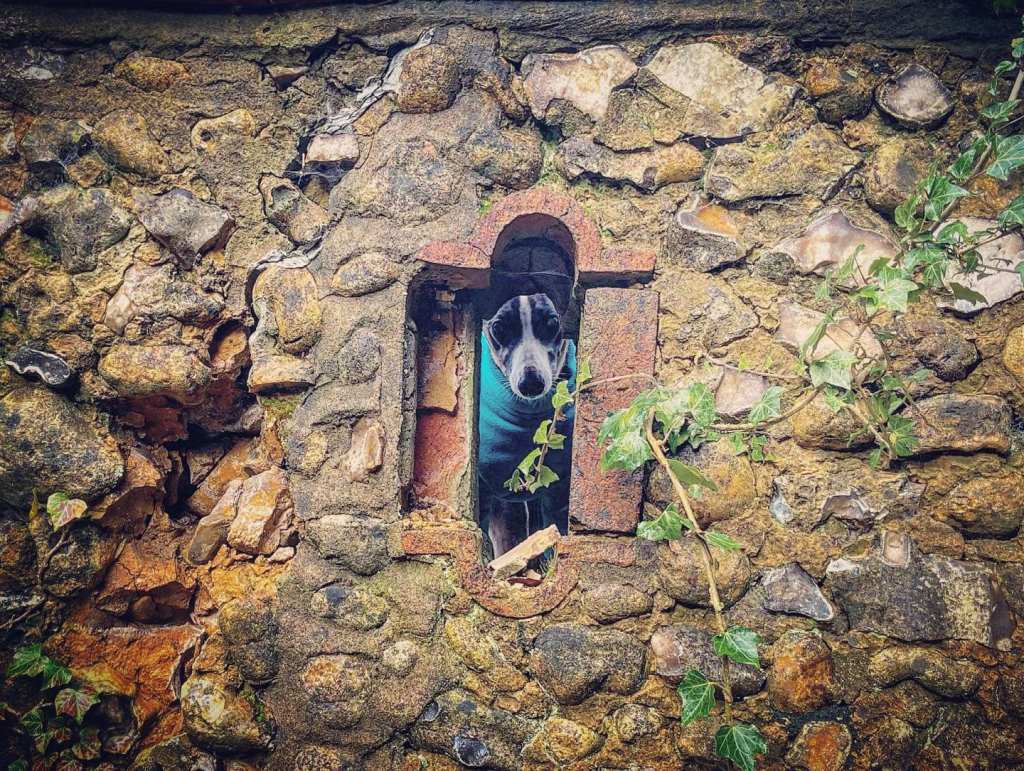Jett looking through a slit in the bridge wall