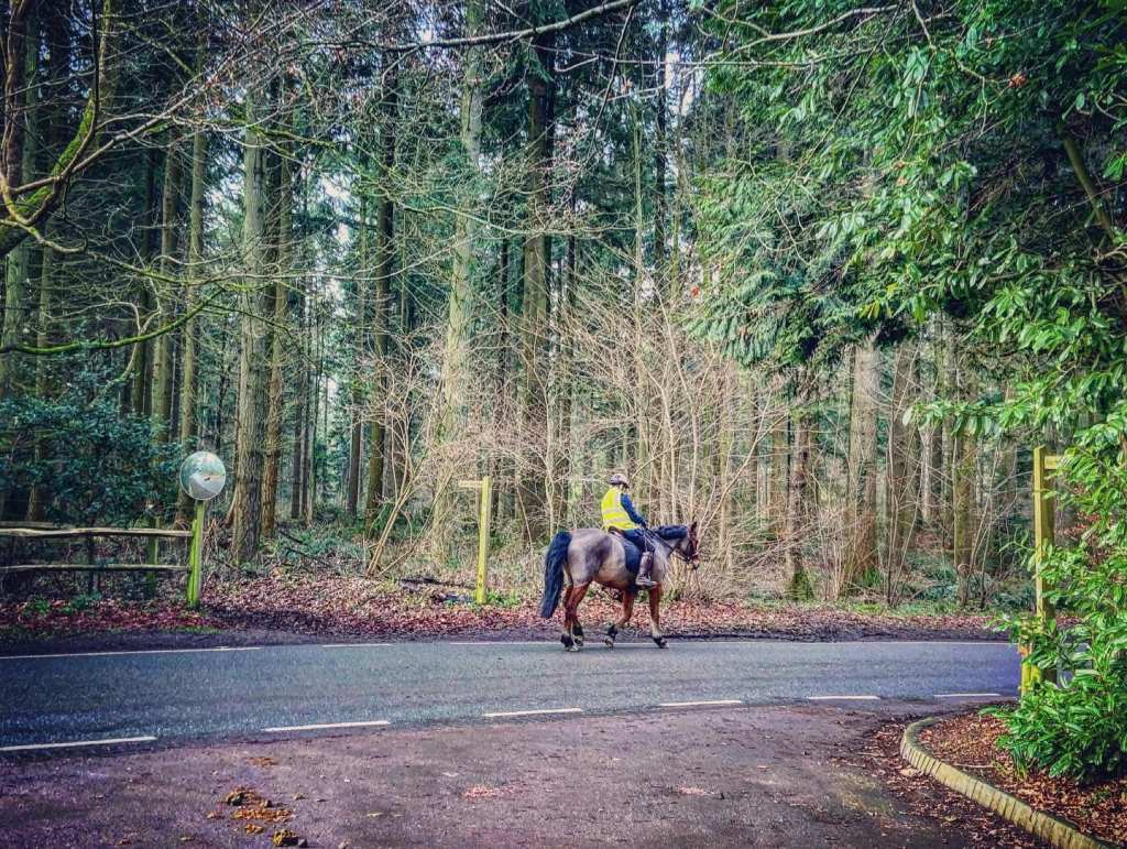 A horse and rider walking along the lane and passing a finger post