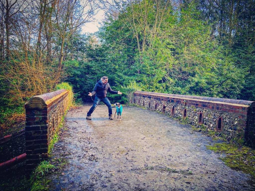 Jim and Jett whippet on Dorking Arch