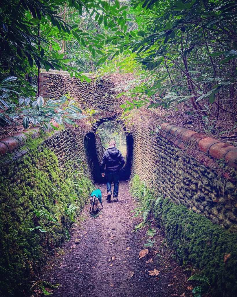 Jim and Jett whippet walking through the arch of Briary Hill West bridge