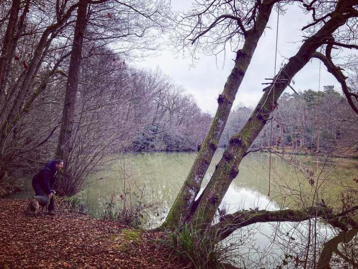 Jim and Jett whippet at Vann lake, looking at the rope swing