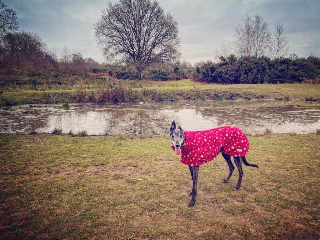 Rena at Bellamoss Pond