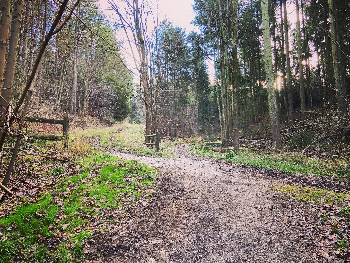 Junction of five paths