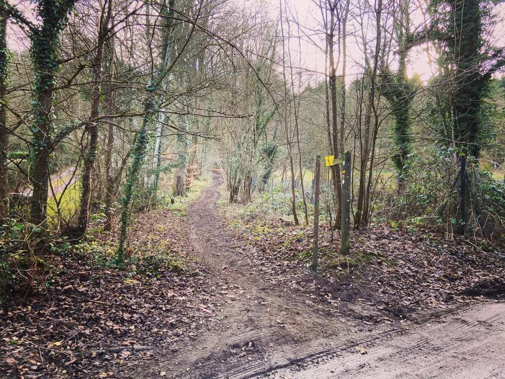 Fingerpost pointing the way up a bridle path