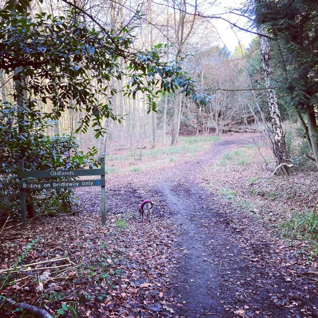 Green sign for Oldlands