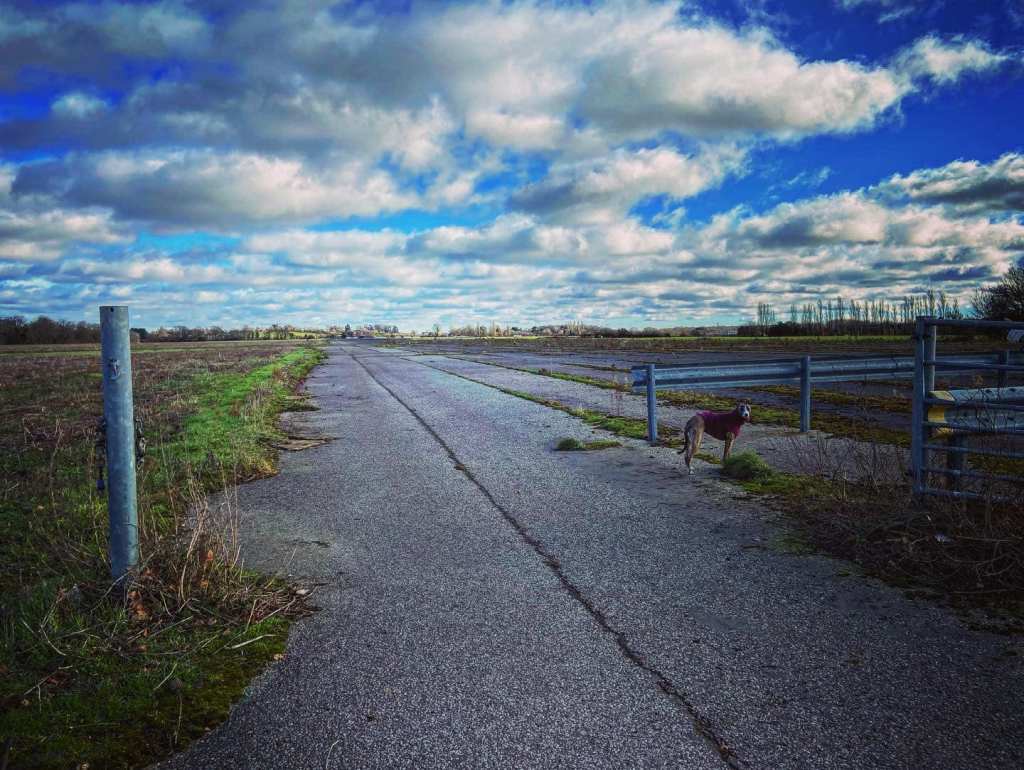 Jett at barriers across the runway