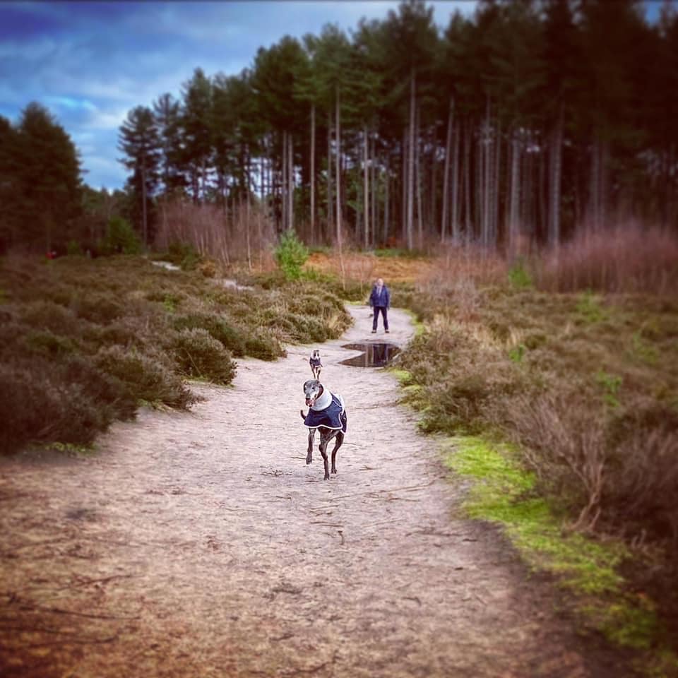 Rena on her 'motorway'