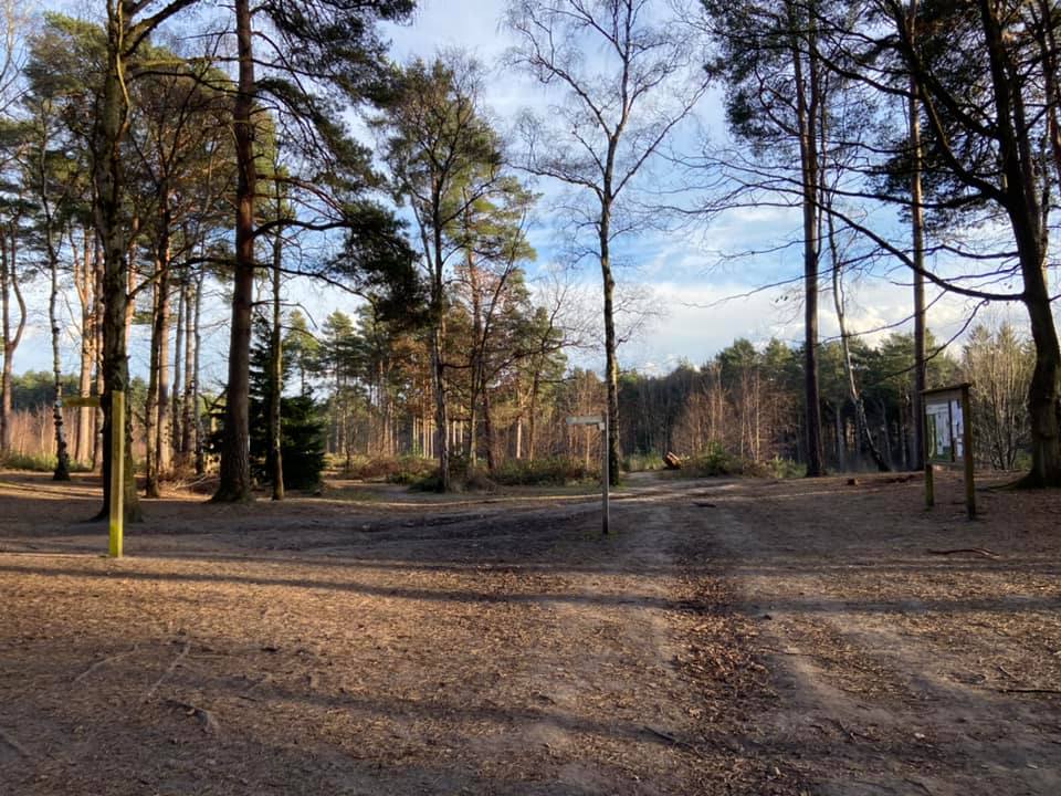 Fiveways crosspaths on Esher Common