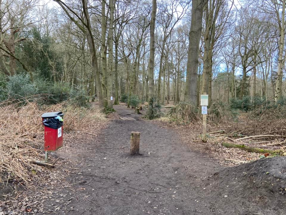 Left path into the common from back of the car park, passing the poo bin
