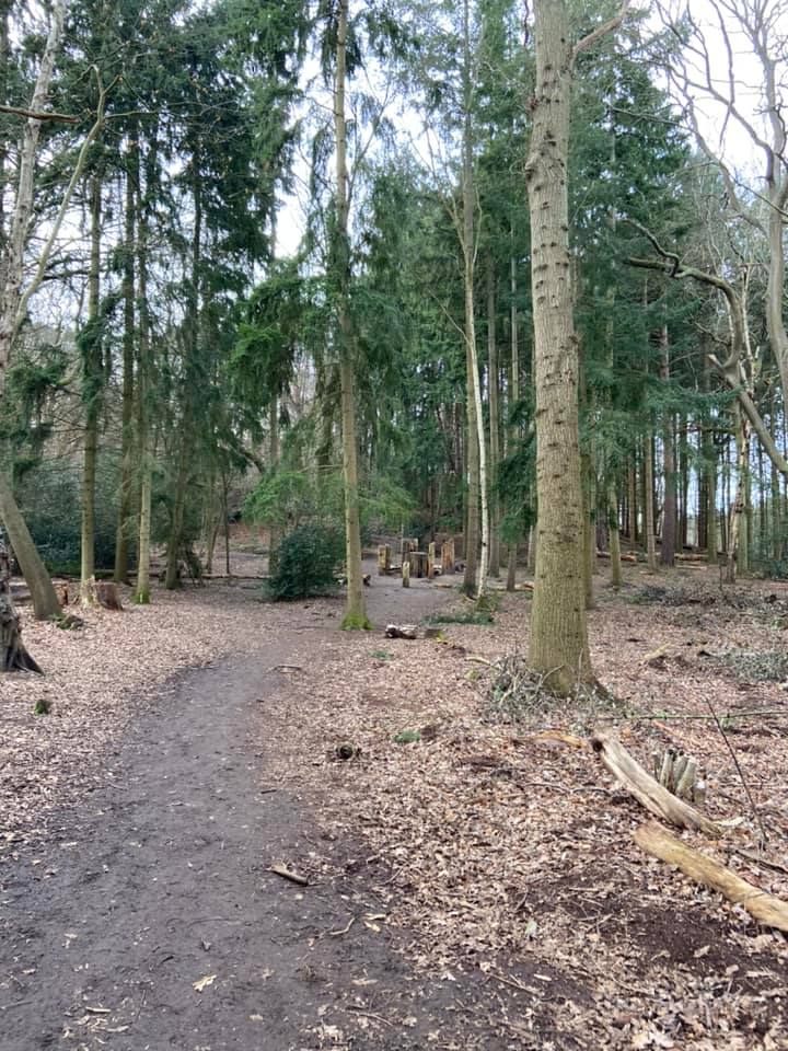 Path through trees to wooden blocks/sculpture