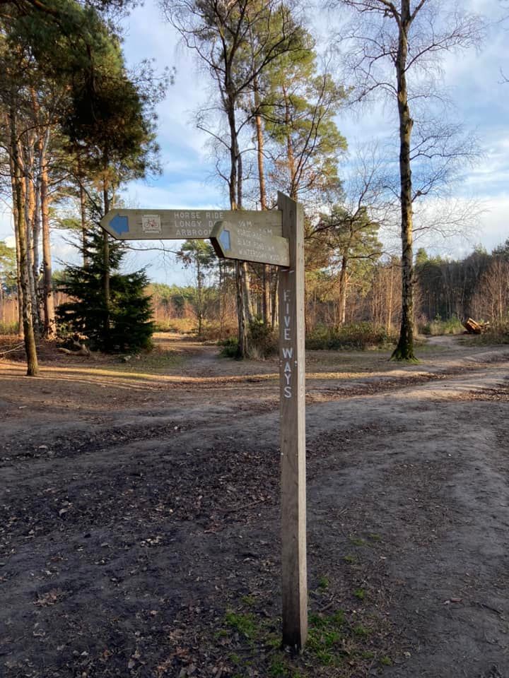 Fiveways crosspaths on Esher Common
