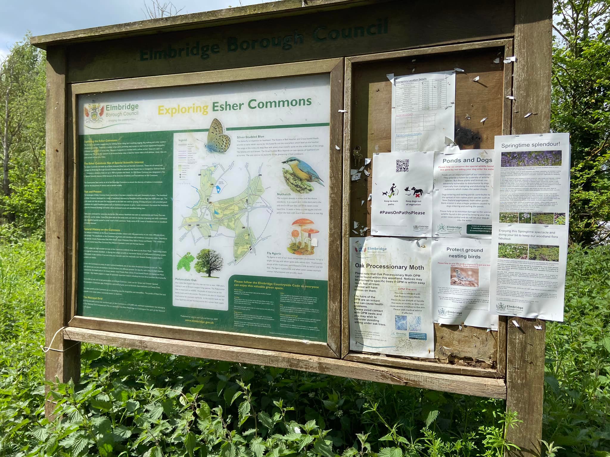 Information board