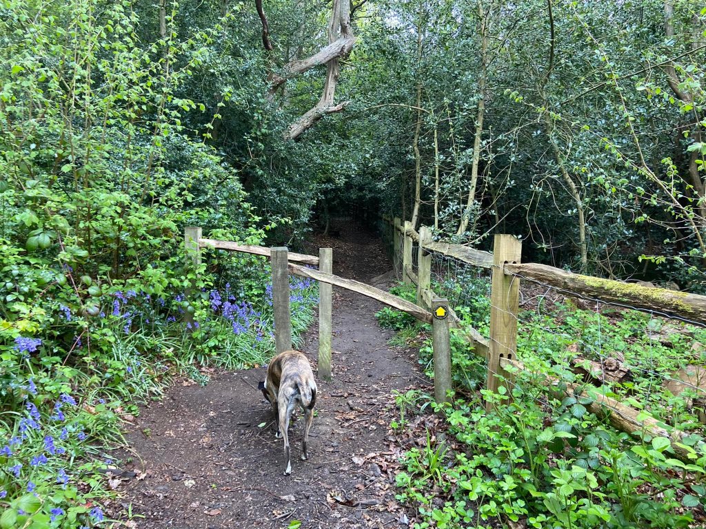 Staggered barrier with black circle and yellow arrow