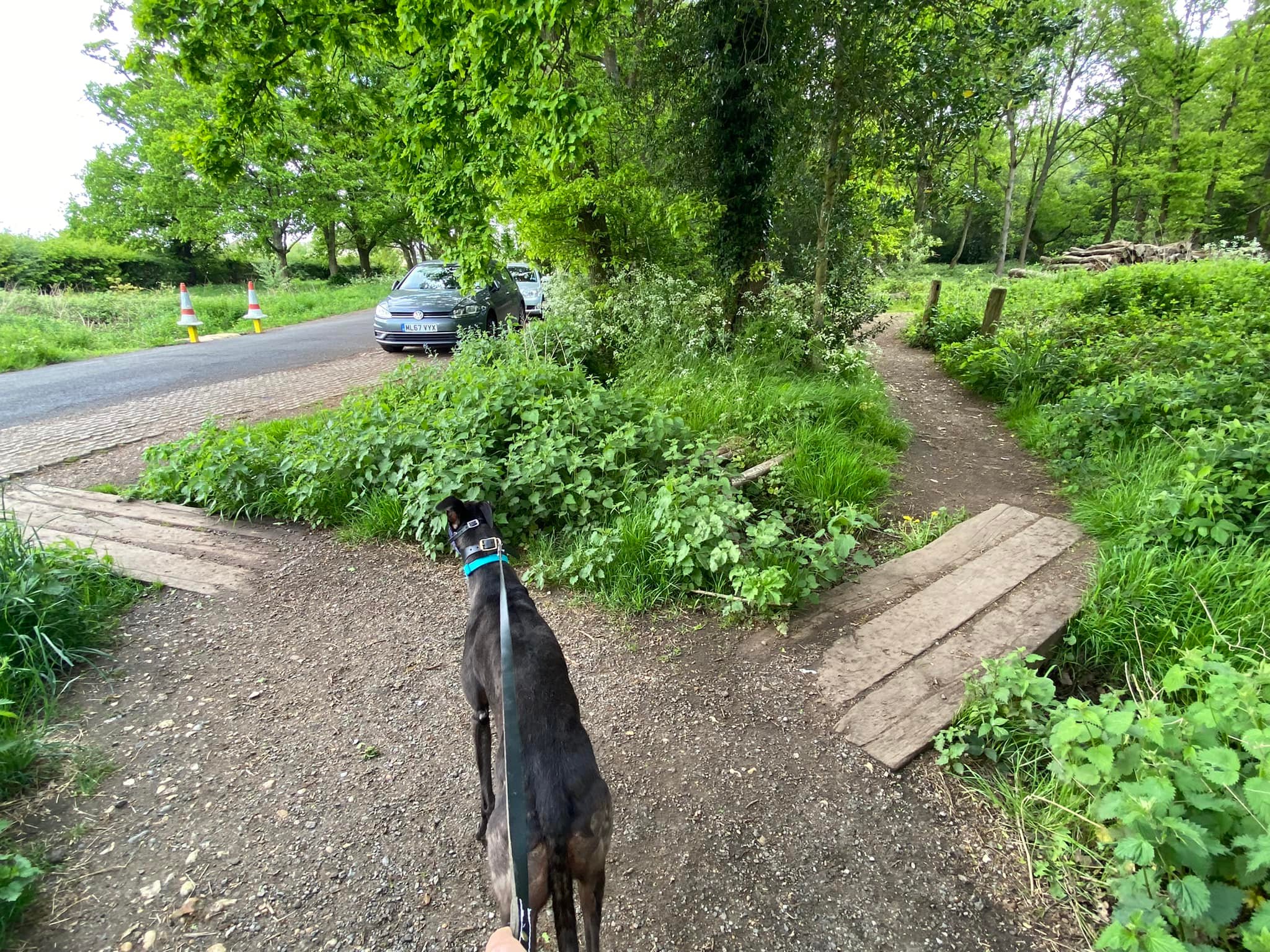 Take the right-hand planks