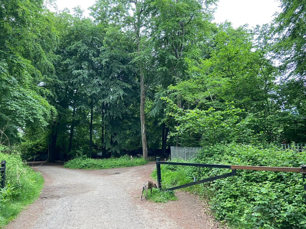 Go through the black barrier and hug the grey railings to the right