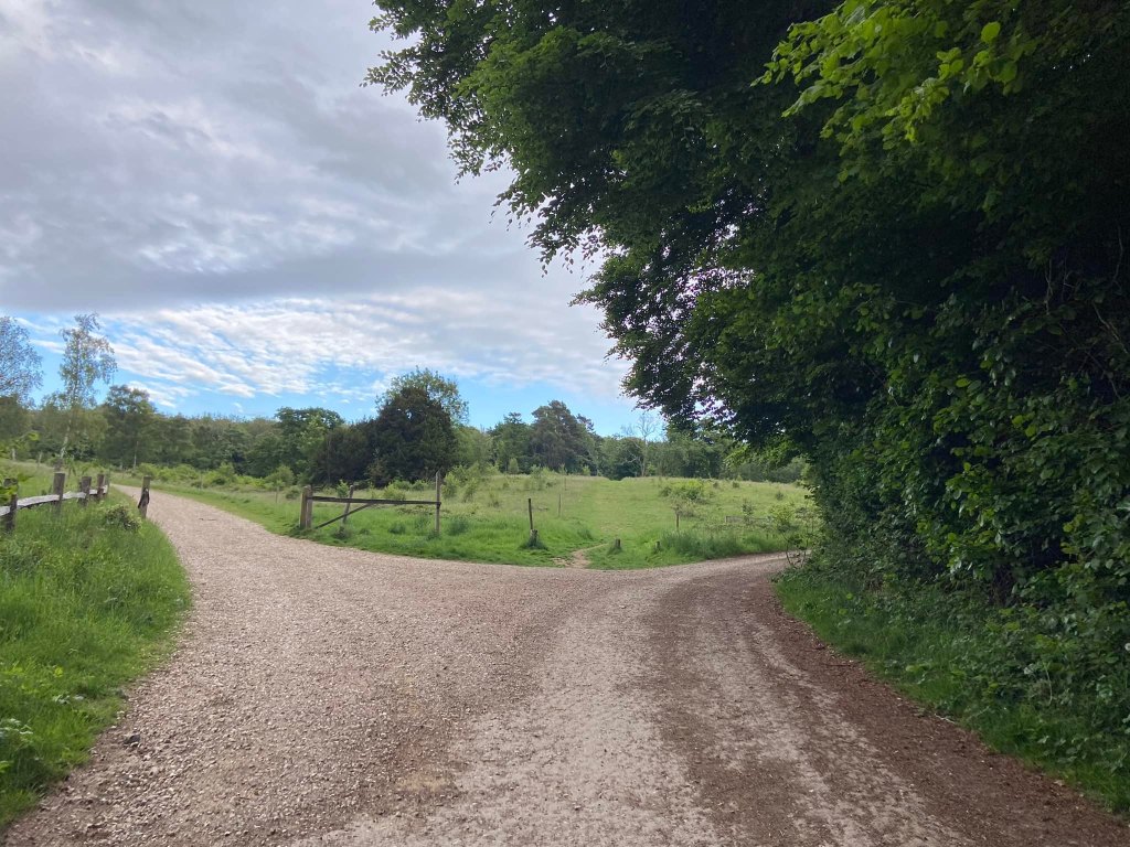 Go left here through the gate