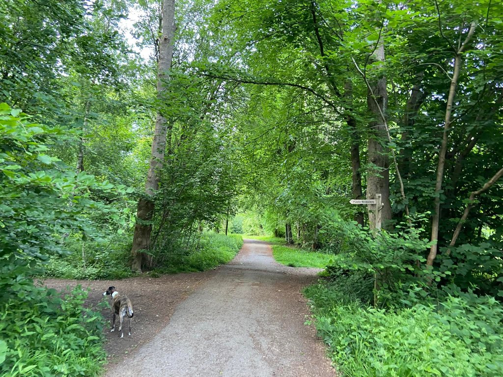 Turn left at the bridleway fingerpost just before the second speed bump
