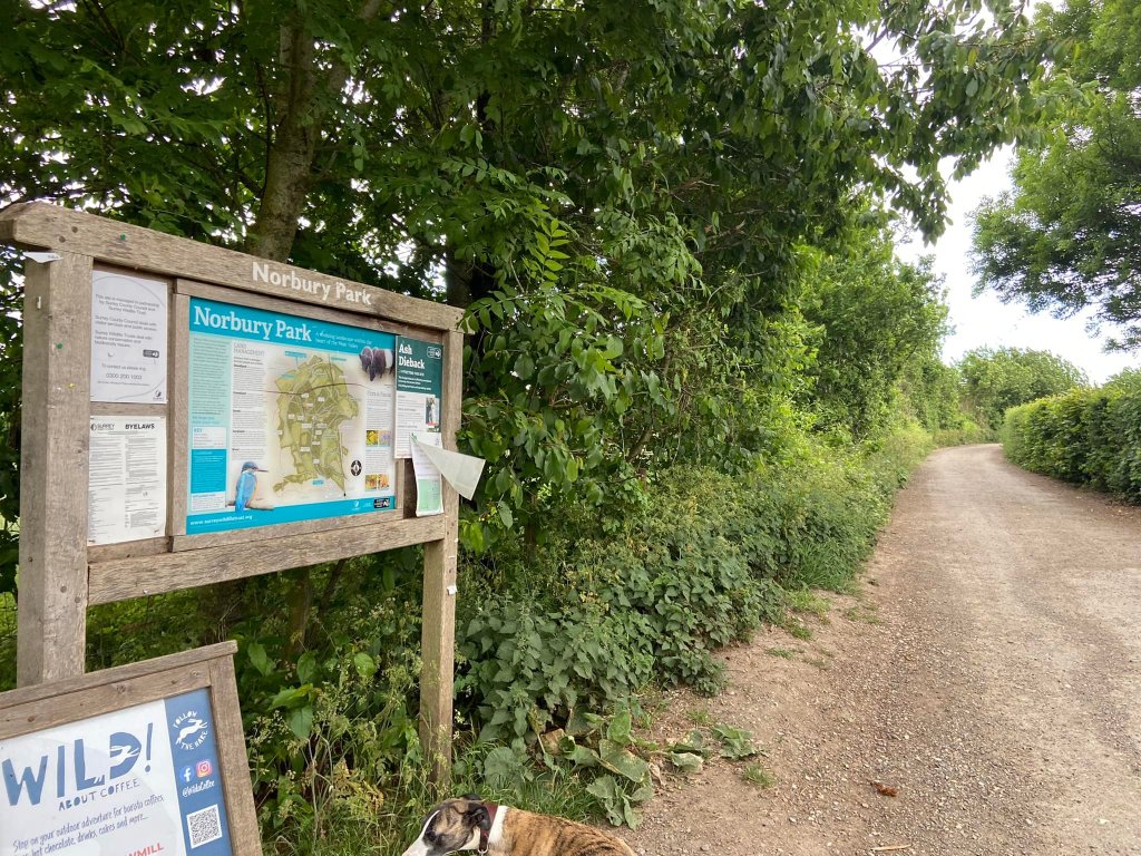 Turn right and take the lane into Norbury Park