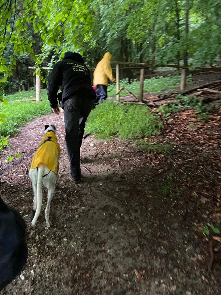 Through another wooden barrier