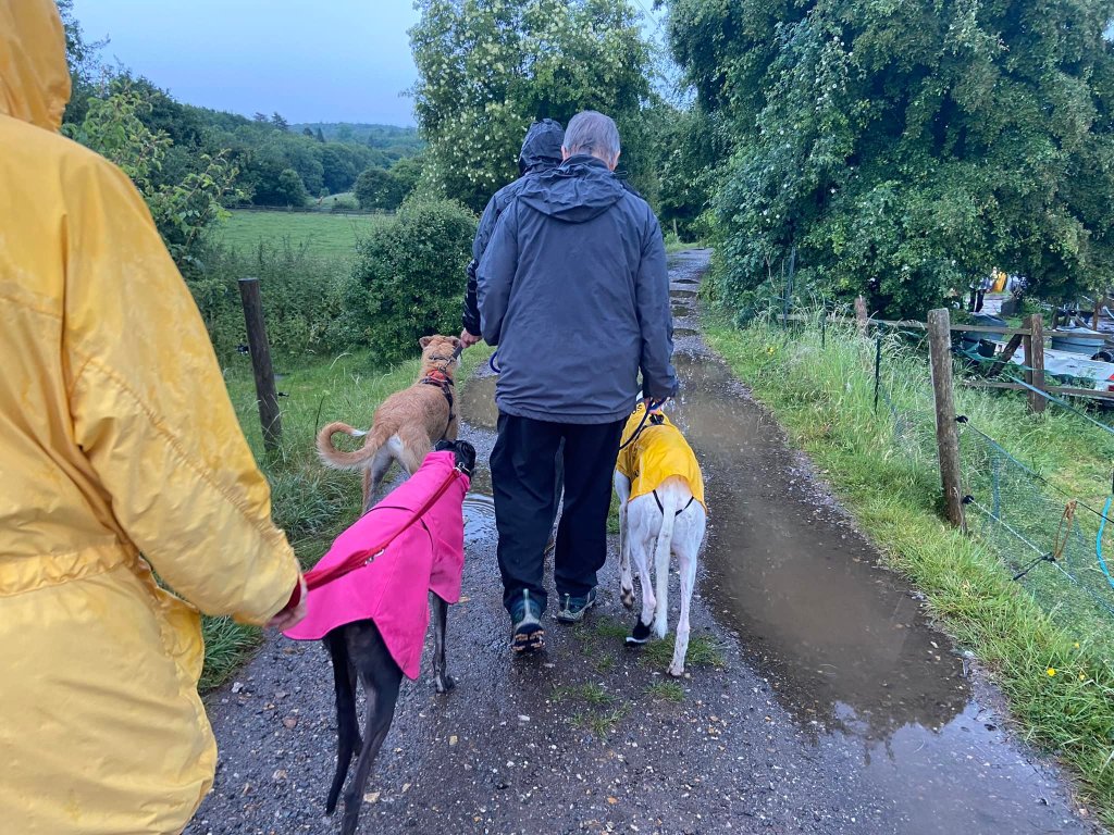 Pass stables on the right