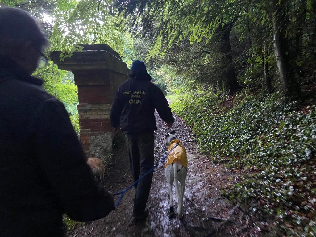 Over the railway tunnel entrance