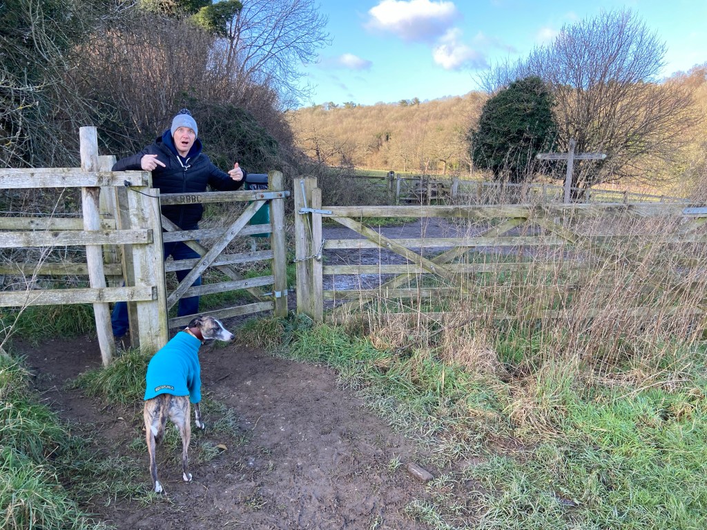 Jim and Jett whippet at a kissing gate 