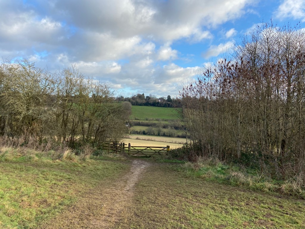 Path heading through grassland down to a gate, beyond which grassy fields spread out