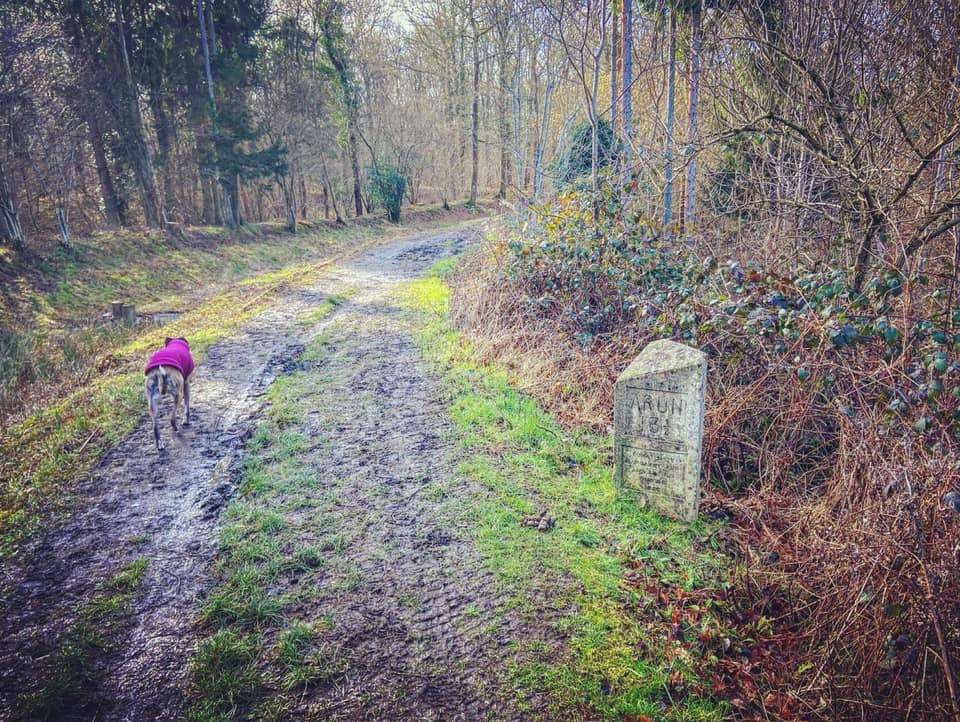 Jett passes a stone milemarker