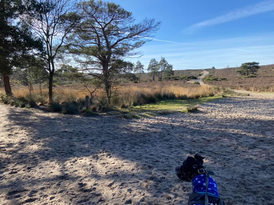 Continue straight up towards the slope