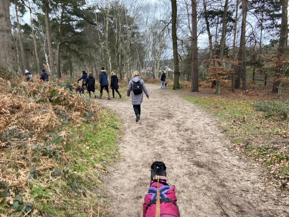 Look out for the path to the left