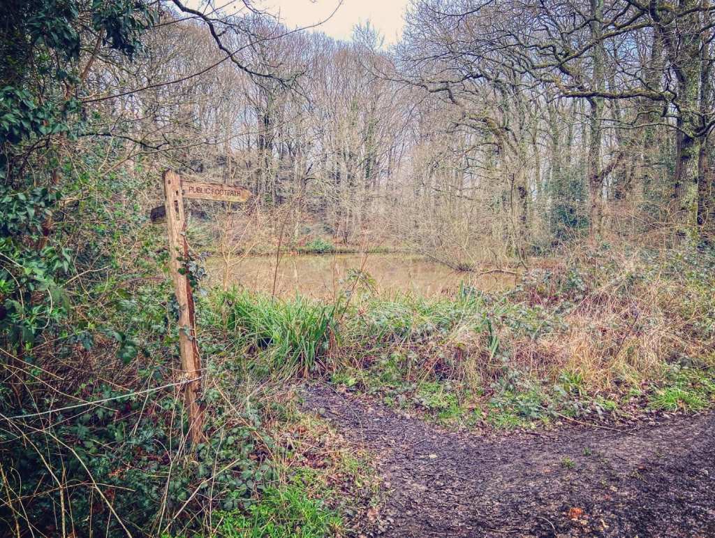 Turn left off the track onto a small path opposite the ramshackle hut