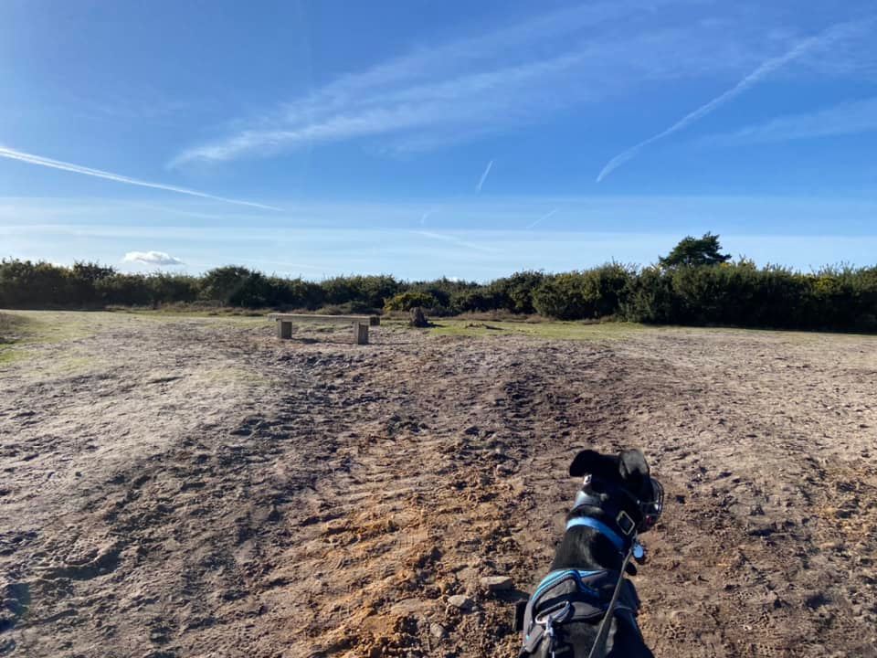 Handy bench at the top