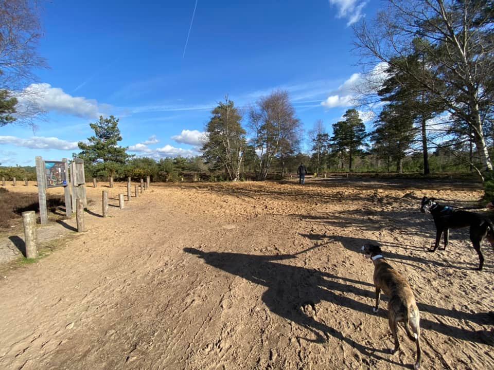 Straight over at the cross paths by the information board