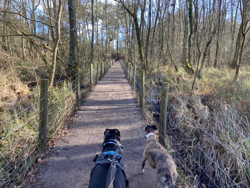 Walk down the boardwalk