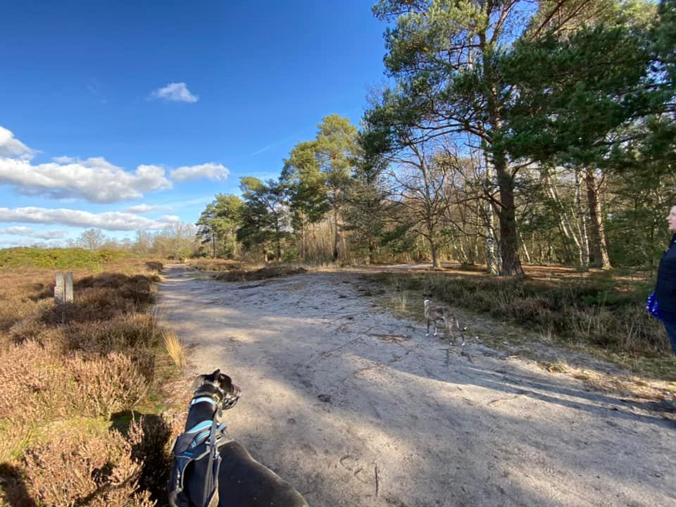 Turn right at the two wooden posts