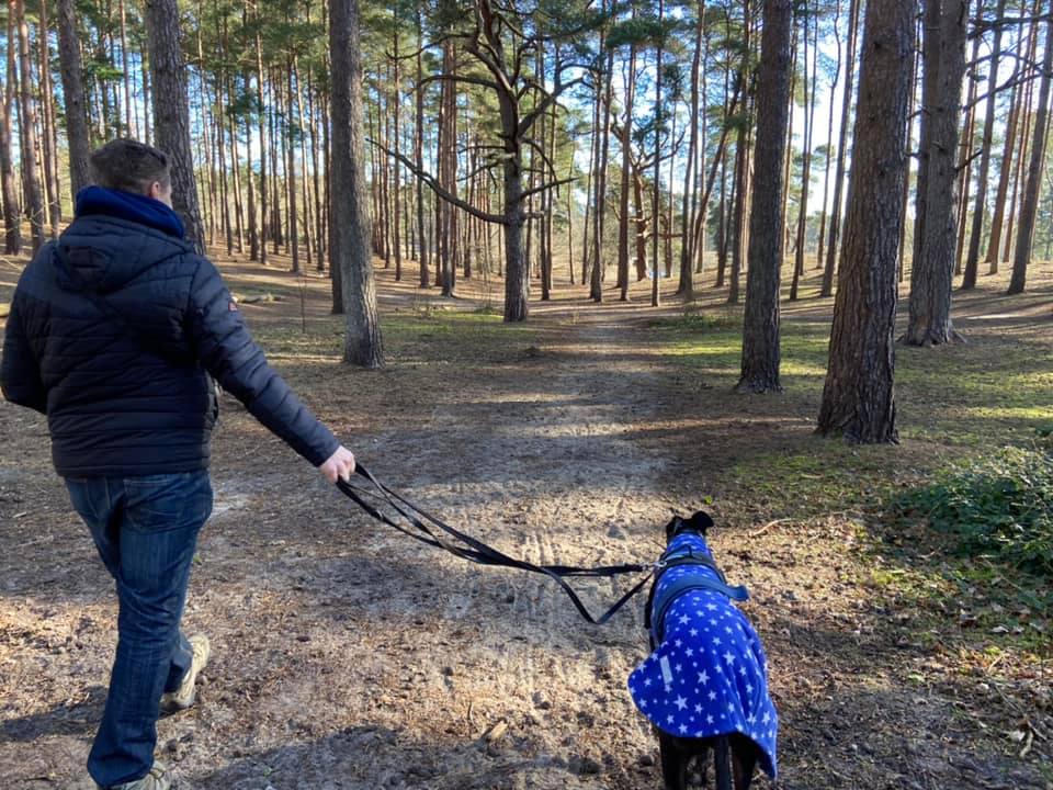 Turn left and head to the pond